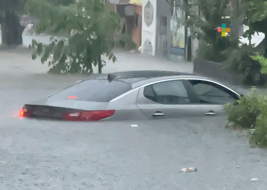 Emiten declaratoria de desastre natural para 44 municipios de Veracruz